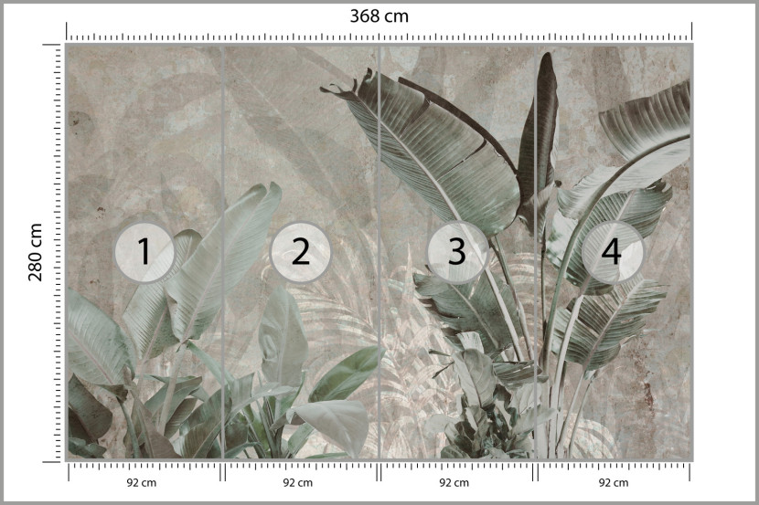 Fototapeta Liście Bananowe Na Betonie 368x280cm, 1994906