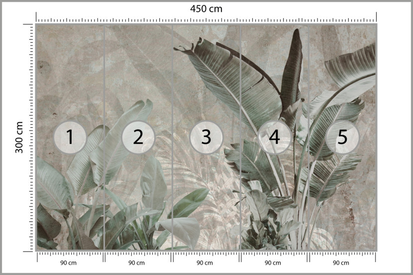 Fototapeta Liście Bananowe Na Betonie 450x300cm, 1994918