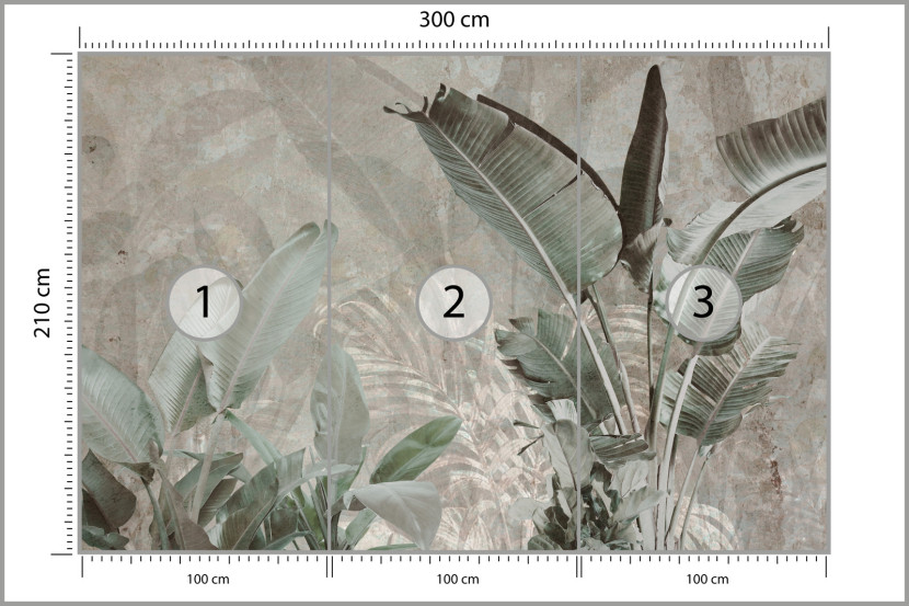 Fototapeta Liście Bananowe Na Betonie 300x210cm, 1994930
