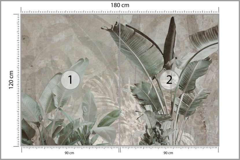 Fototapeta Liście Bananowe Na Betonie 180x120cm, 1995036