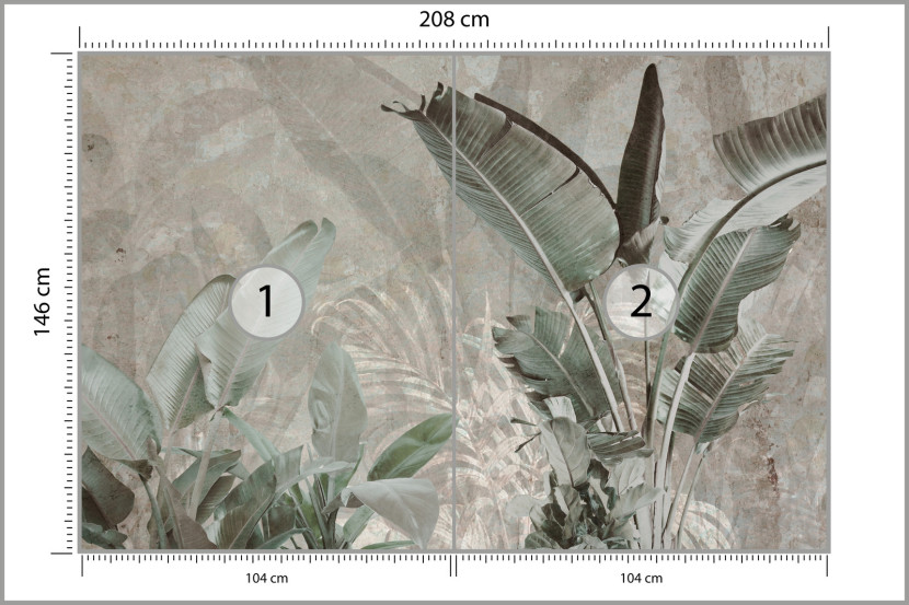 Fototapeta Liście Bananowe Na Betonie 208x146cm, 1995306