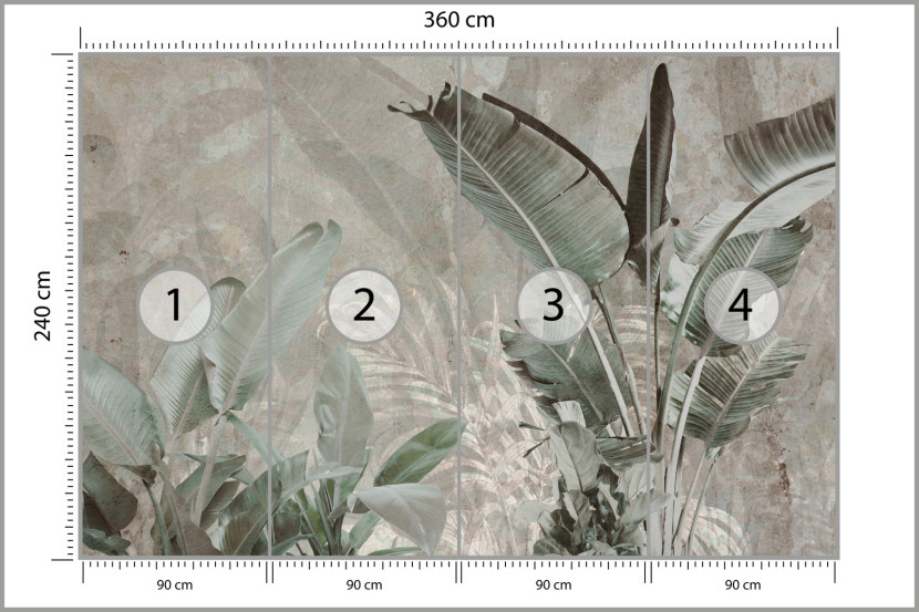 Fototapeta Liście Bananowe Na Betonie 360x240cm, 1995918
