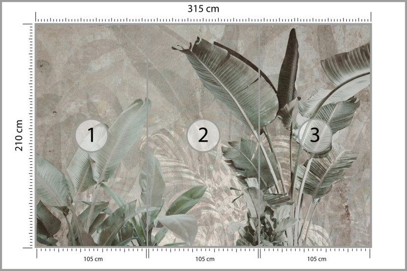 Fototapeta Liście Bananowe Na Betonie 315x210cm, 1996075