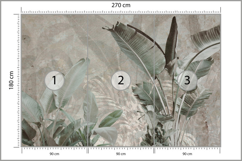 Fototapeta Liście Bananowe Na Betonie 270x180cm, 1996691
