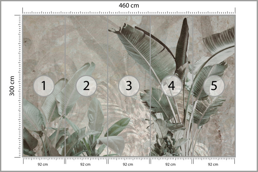 Fototapeta Liście Bananowe Na Betonie 460x300cm, 1996711
