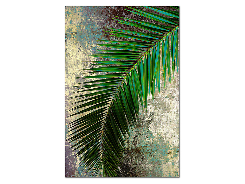 obraz Palm, 20130