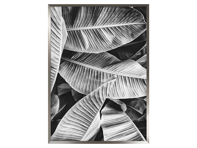 obraz Black Leaves 50x70 cm, 205168