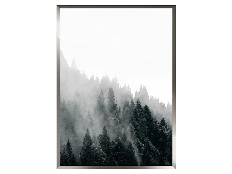obraz Mgła, 205176