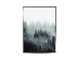obraz Mgła 2 50x70 cm