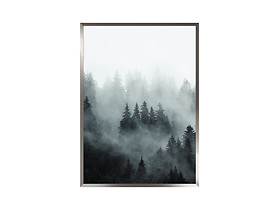obraz Mgła 2