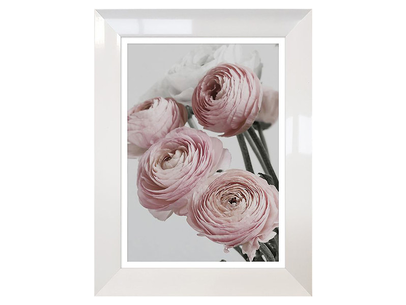 obraz Roses 2 50x70 cm, 205194