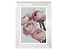 Produkt: obraz Roses 2 50x70 cm