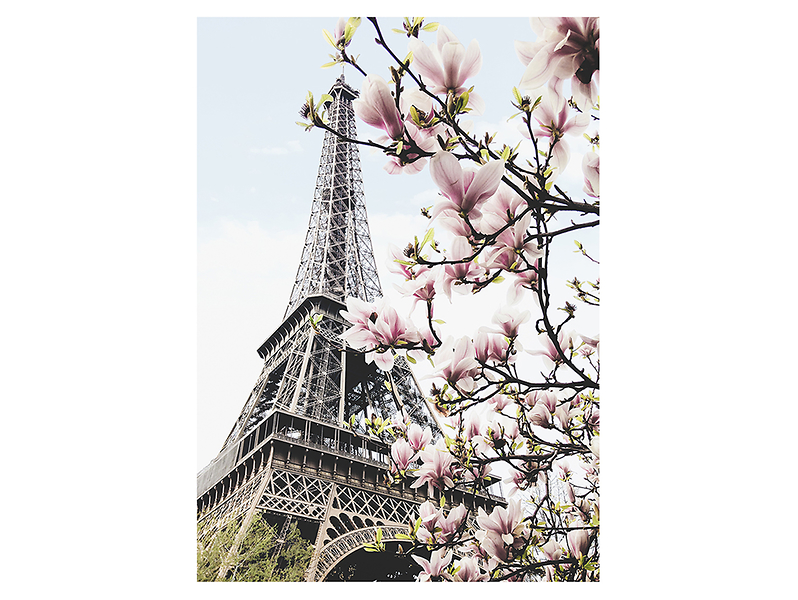 plakat Wiosenna Wieża Eiffela 50x70 cm, 207081