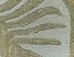 Dywan wełniany z motywem roślinnym 160 x 230 cm VIZE, 229205