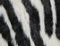 Dywan zebra czarny NAMBUNG, 231742