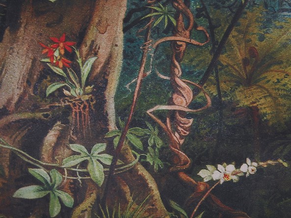 Fotel tapicerowany motyw dżungli, 362011