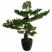 Produkt: Sztuczne bonsai w doniczce