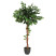 Produkt: Sztuczna roślina w doniczce, wysokie drzewko FIKUS, 120 cm