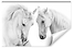 Fototapeta Białe Konie Zwierzęta 3D 368x254cm, 380423