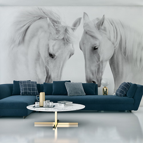 Fototapeta Białe Konie Zwierzęta 3D 368x254cm, 380429