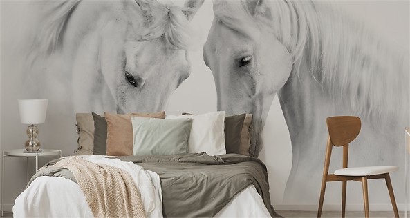 Fototapeta Białe Konie Zwierzęta 3D 400x280cm, 380514