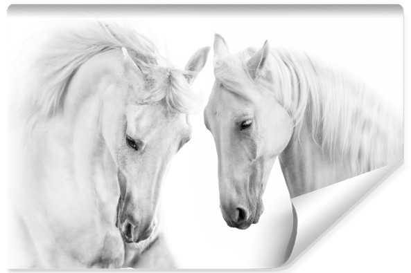 Fototapeta Białe Konie Zwierzęta 3D 270x180cm, 380799