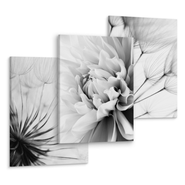 Obrazy Czarno-Białe Kwiaty z Bliska 3D, 394561