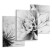 Produkt: Obrazy Czarno-Białe Kwiaty z Bliska 3D