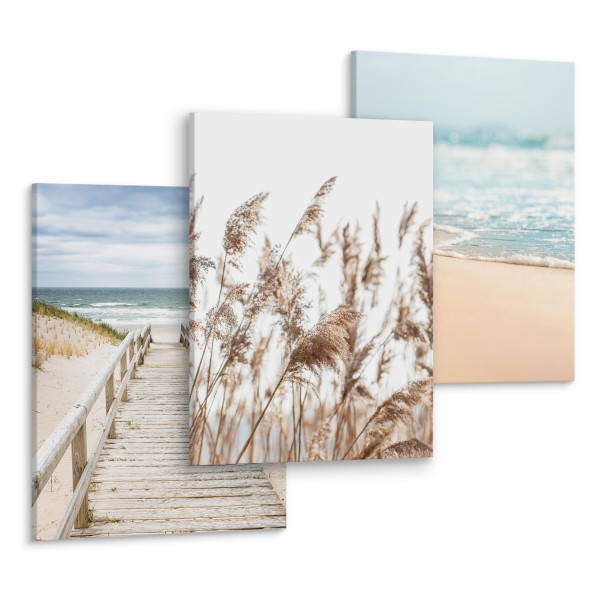 Obrazy Plaża Morze Rośliny Krajobraz 3D, 394920