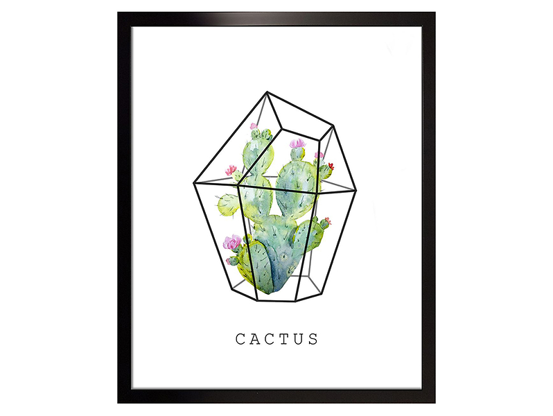 obraz Cactus, 44338