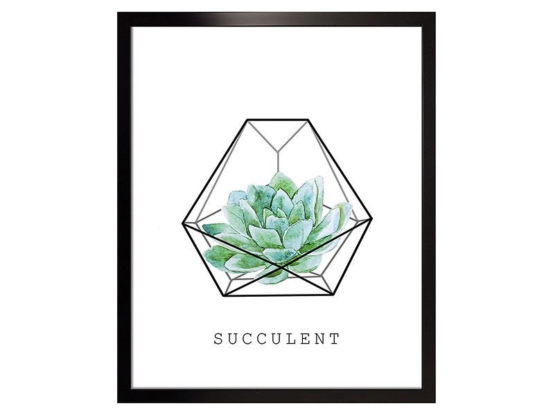 obraz Succulent, 44339