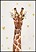 Żyrafa Złoty Plakat, 447680