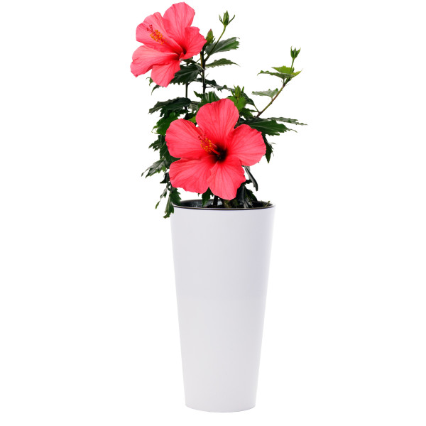 Doniczka Ogrodowa Osłonka 28.6 Cm Matowa Tubus Slim Donica Wysoka Z Wkładem, 5087389