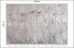 Fototapeta Łąka Kwiaty we Mgle do Salonu i Sypialni 500x350cm Boho, 6545564