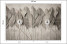Fototapeta Liście na Betonie do Salonu i Sypialni 100x70cm, 6718955