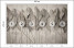Fototapeta Liście na Betonie do Salonu i Sypialni 300x210cm, 6719021