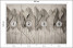 Fototapeta Liście na Betonie do Salonu i Sypialni 200x140cm, 6719396