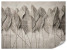 Fototapeta Liście na Betonie do Salonu i Sypialni 400x280cm, 6719413