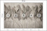 Fototapeta Liście na Betonie do Salonu i Sypialni 250x175cm, 6719624
