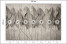 Fototapeta Liście na Betonie do Salonu i Sypialni 350x256cm, 6719763
