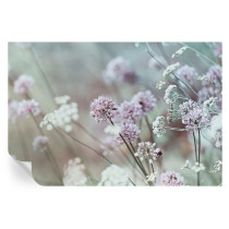 Fototapeta samoprzylepna Polne kwiaty 104x70 Tulup