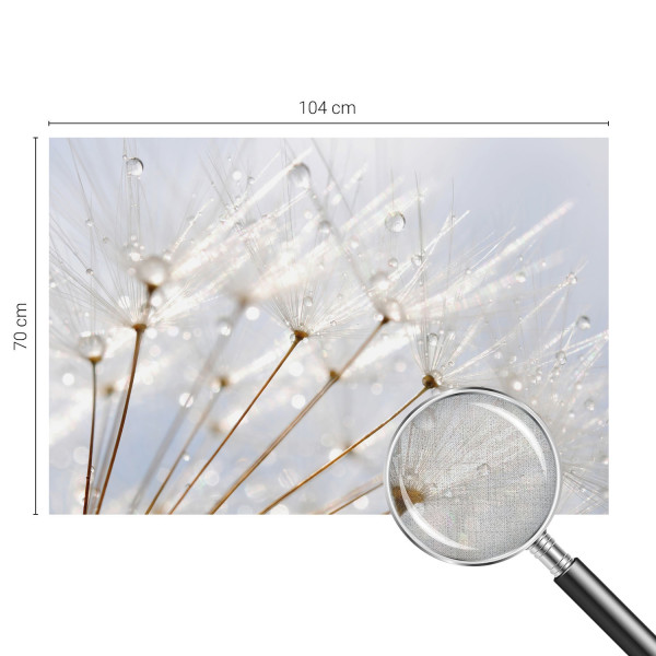 Fototapeta samoprzylepna Rosy dmuchawiec 104x70 Tulup, 6769632