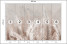 Fototapeta Beżowe Liście Palmowe do Salonu i Sypialni 300x210cm Boho, 6822262