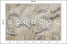 Fototapeta Liście na Beżowym Tle do Salonu i Sypialni 350x256cm, 6822449