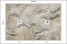 Fototapeta Liście na Beżowym Tle do Salonu i Sypialni 100x70cm, 6822744