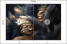 Fototapeta Czarno-złote Pióra do Salonu i Sypialni 100x70cm Glamour, 6823061