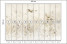 Fototapeta Ptaki i Kwiaty na Łące do Salonu i Sypialni 500x350cm, 6823079
