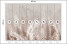 Fototapeta Beżowe Liście Palmowe do Salonu i Sypialni 400x280cm Boho, 6823259