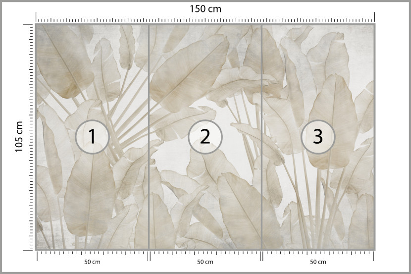 Fototapeta Beżowe Liście Bananowe do Salonu i Sypialni 150x105cm Boho, 6823426