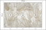 Fototapeta Beżowe Liście Bananowe do Salonu i Sypialni 150x105cm Boho, 6823426
